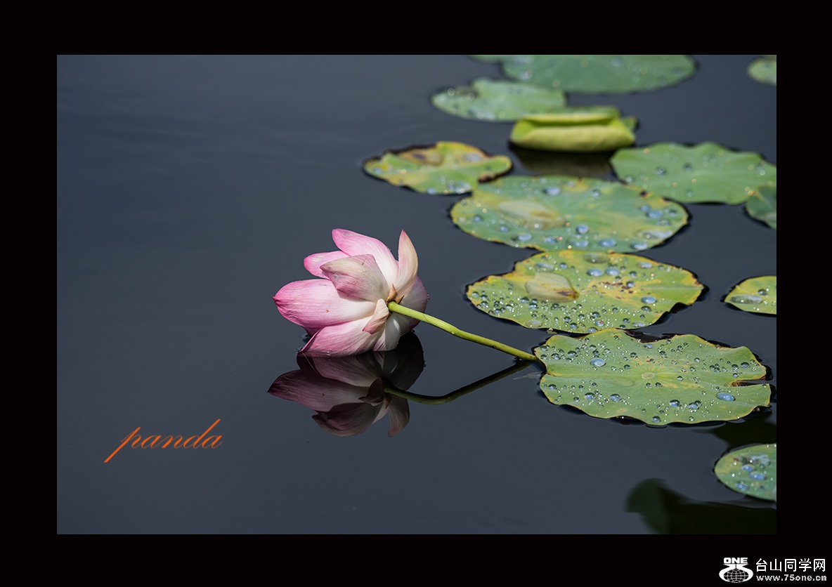 DSC_7592.JPG
