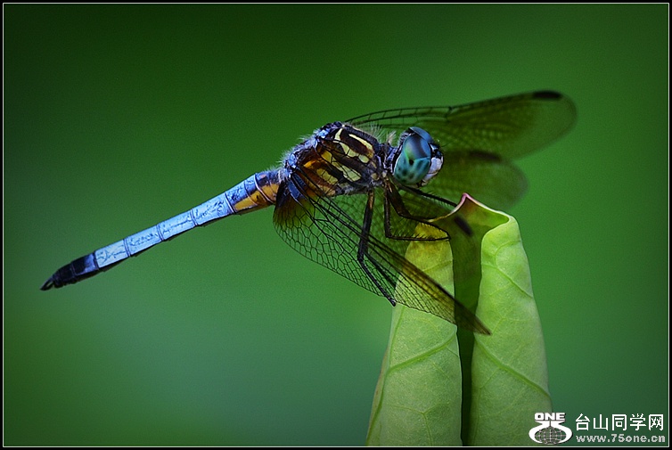 DSC_9363.JPG