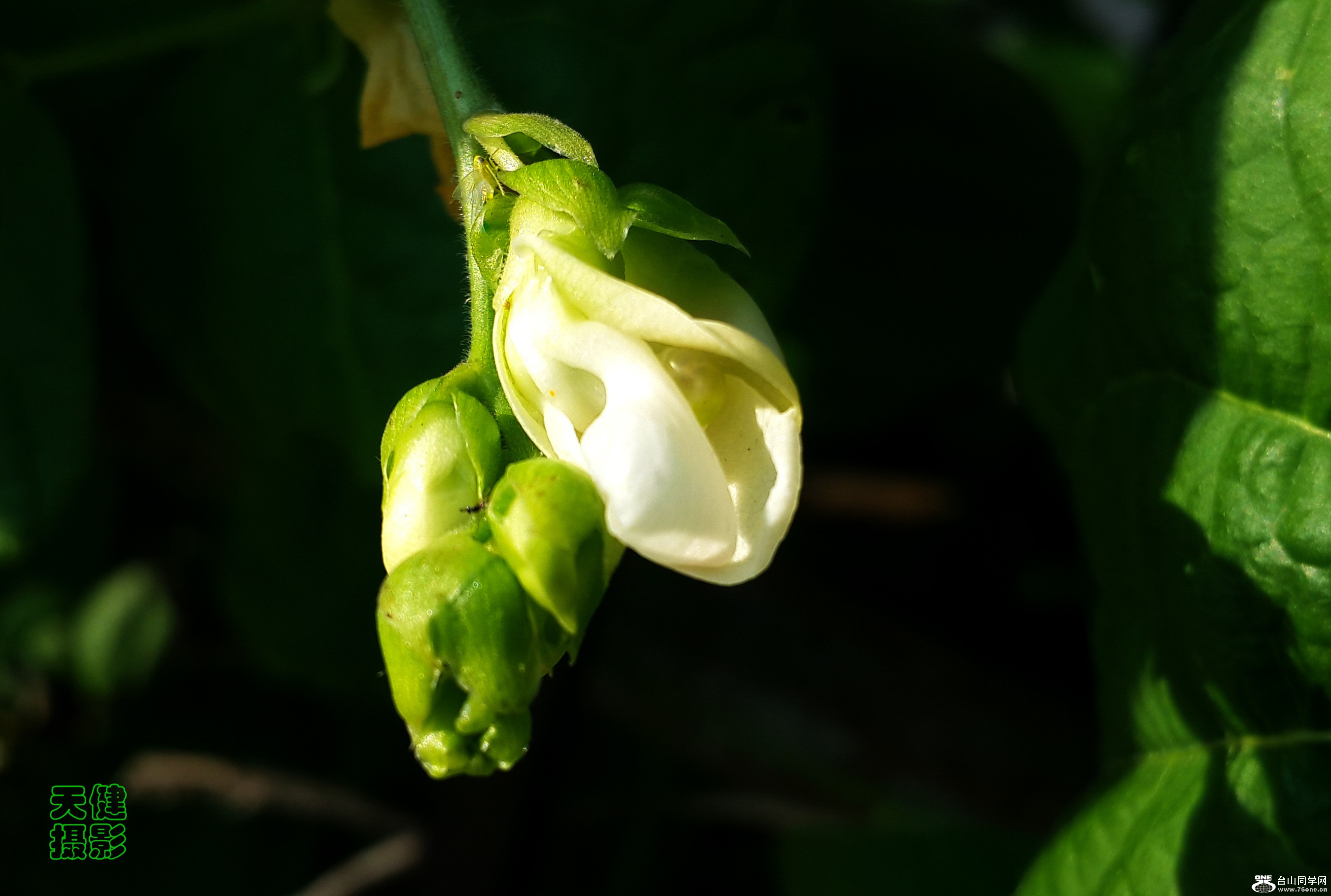20170630_175159_.jpg