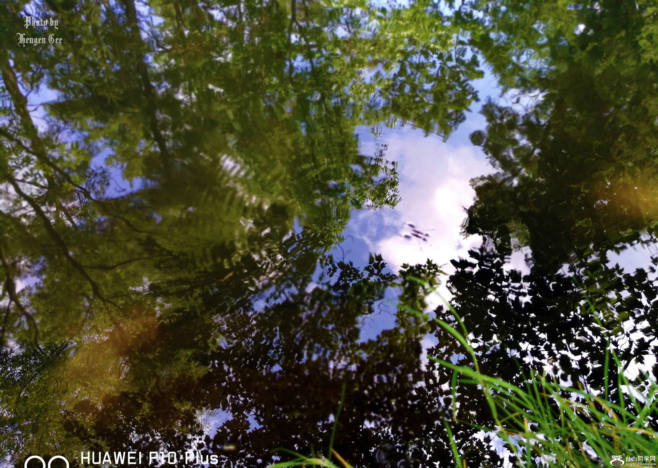 IMG_20170723_120140.jpg