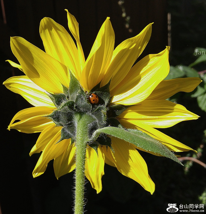 20170713_142132_HDR_.jpg