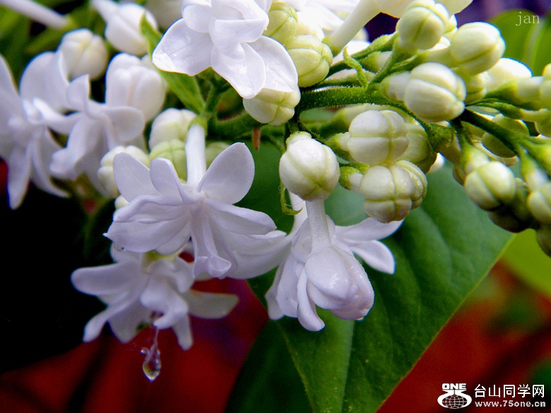 DSCF9647=0.jpg