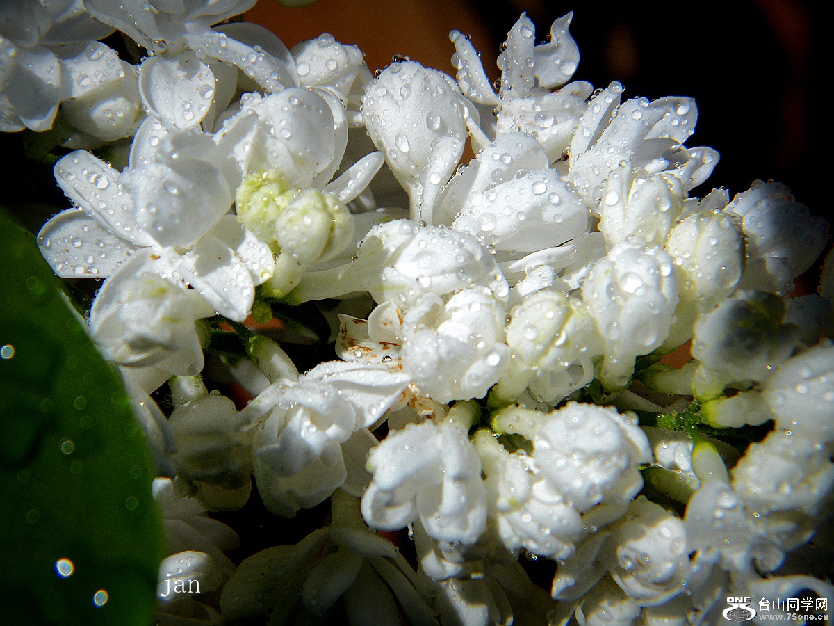 DSCF9837_.jpg