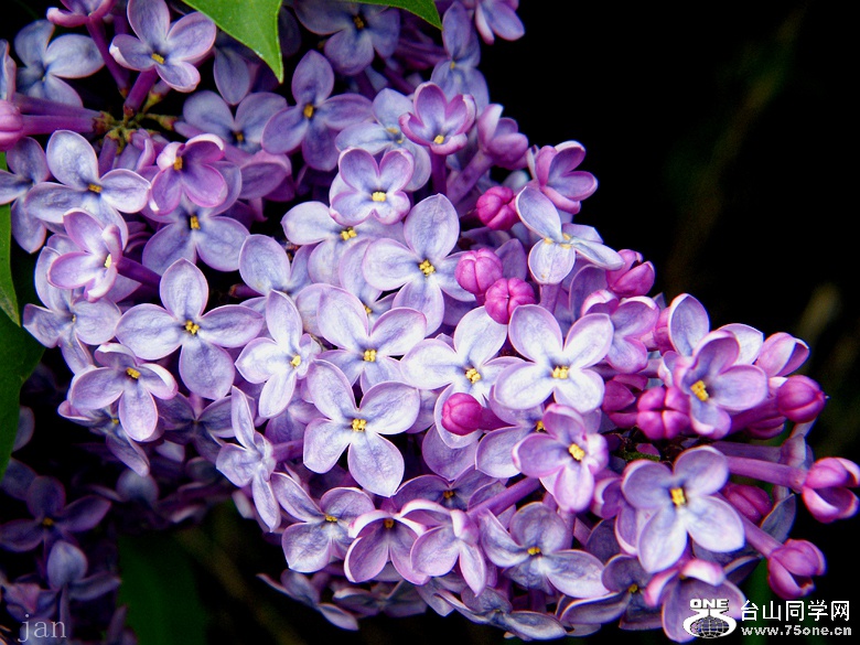 DSCF9691=0.jpg