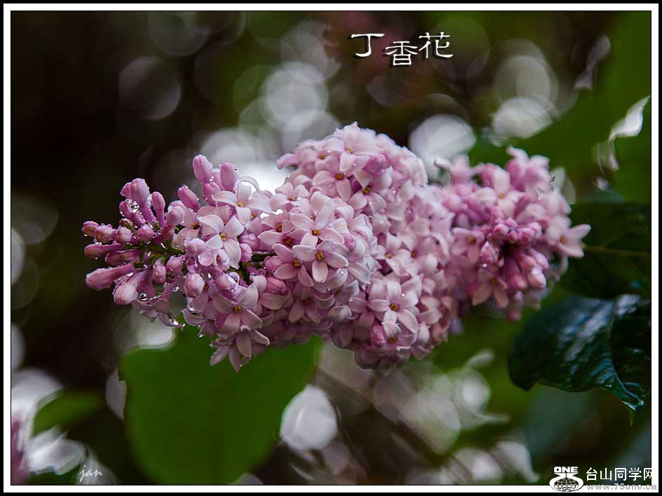 IMG_6870-b.jpg