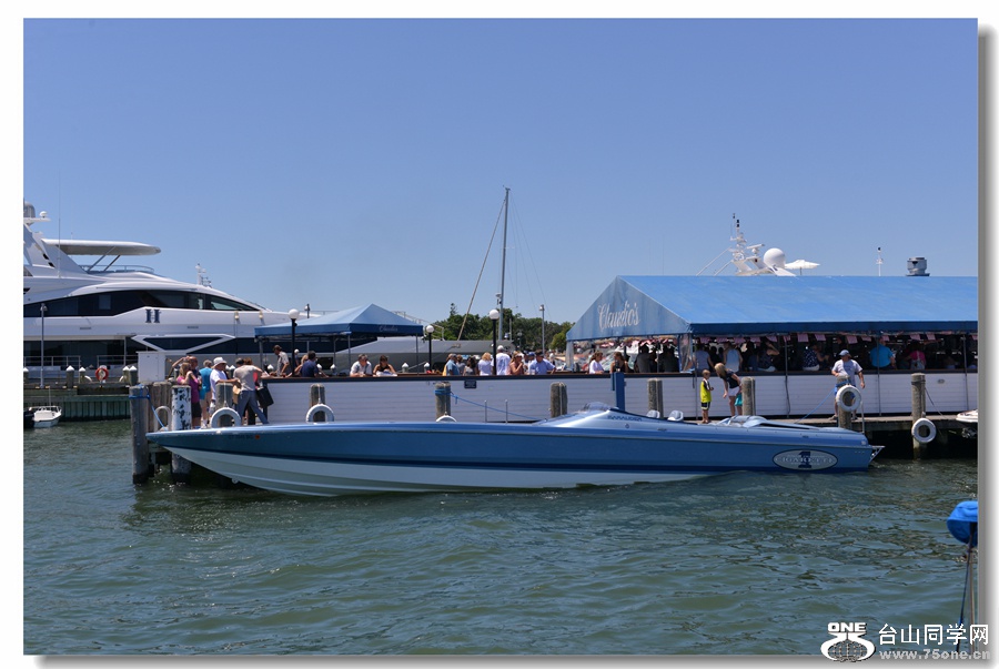 DSC_2470_.jpg