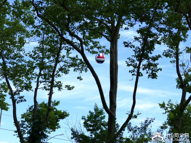 l3000744_conew2.jpg