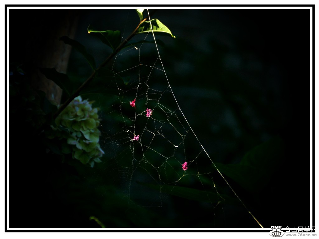 L3020154_conew1.jpg