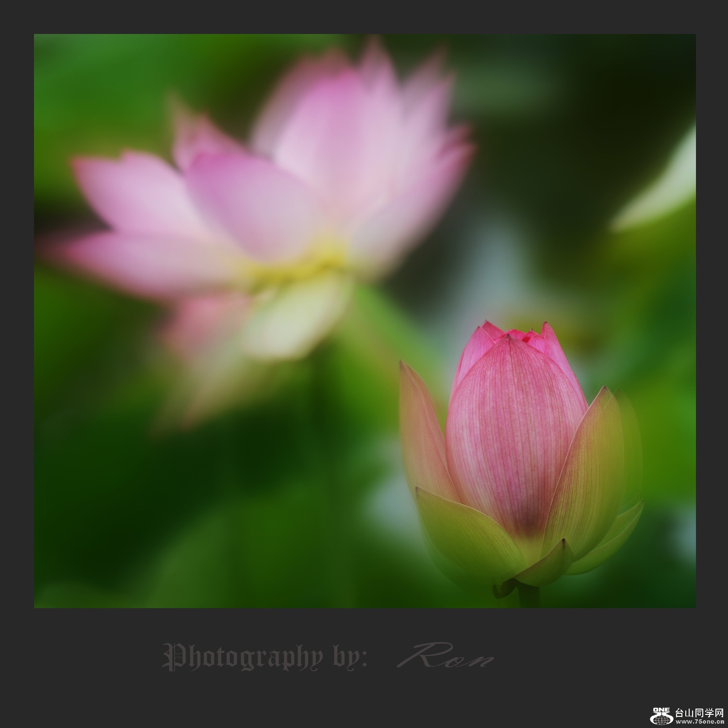 0270-3.jpg