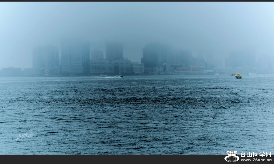 DSC_8037.jpg