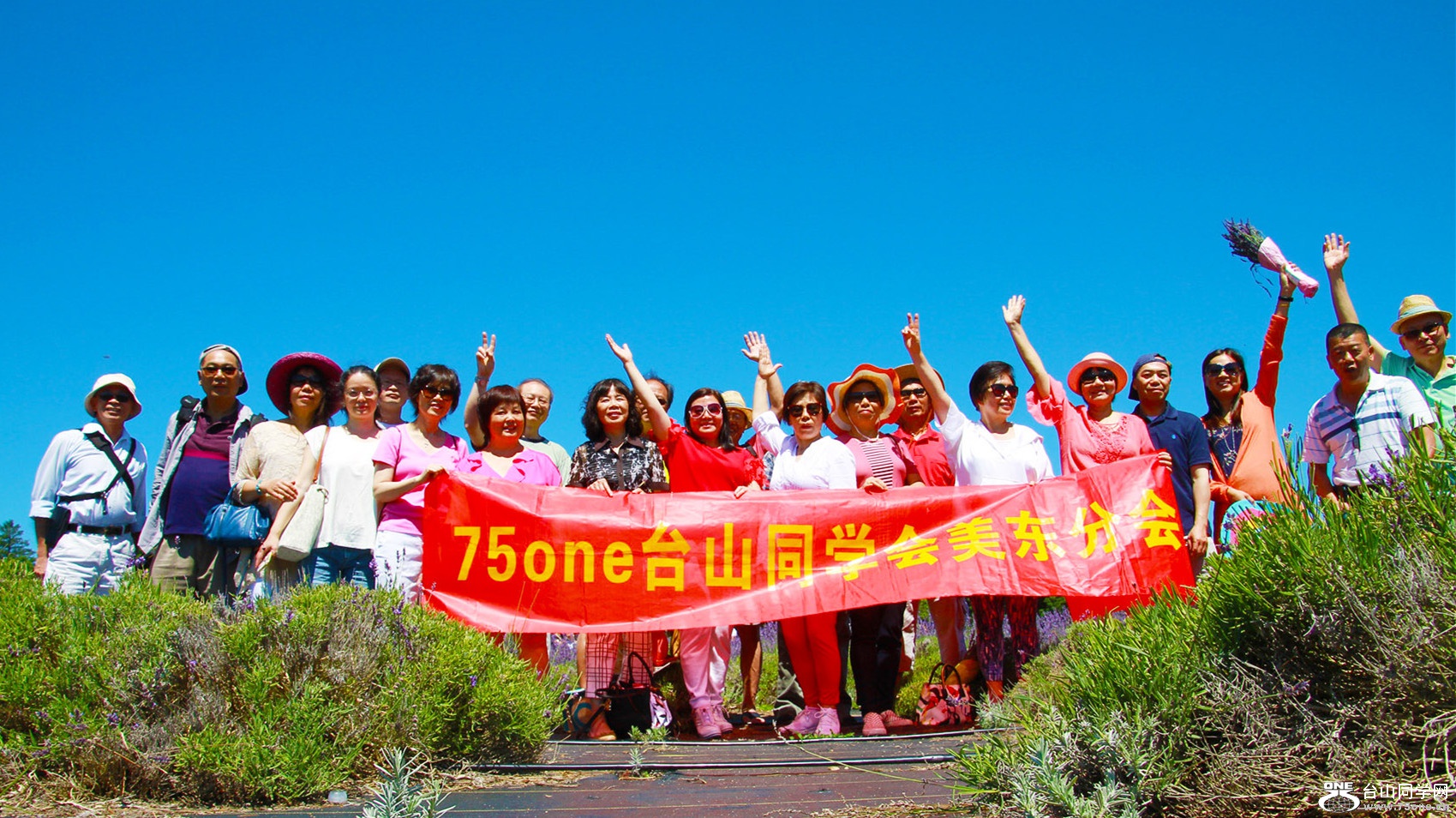IMGL4833.jpg