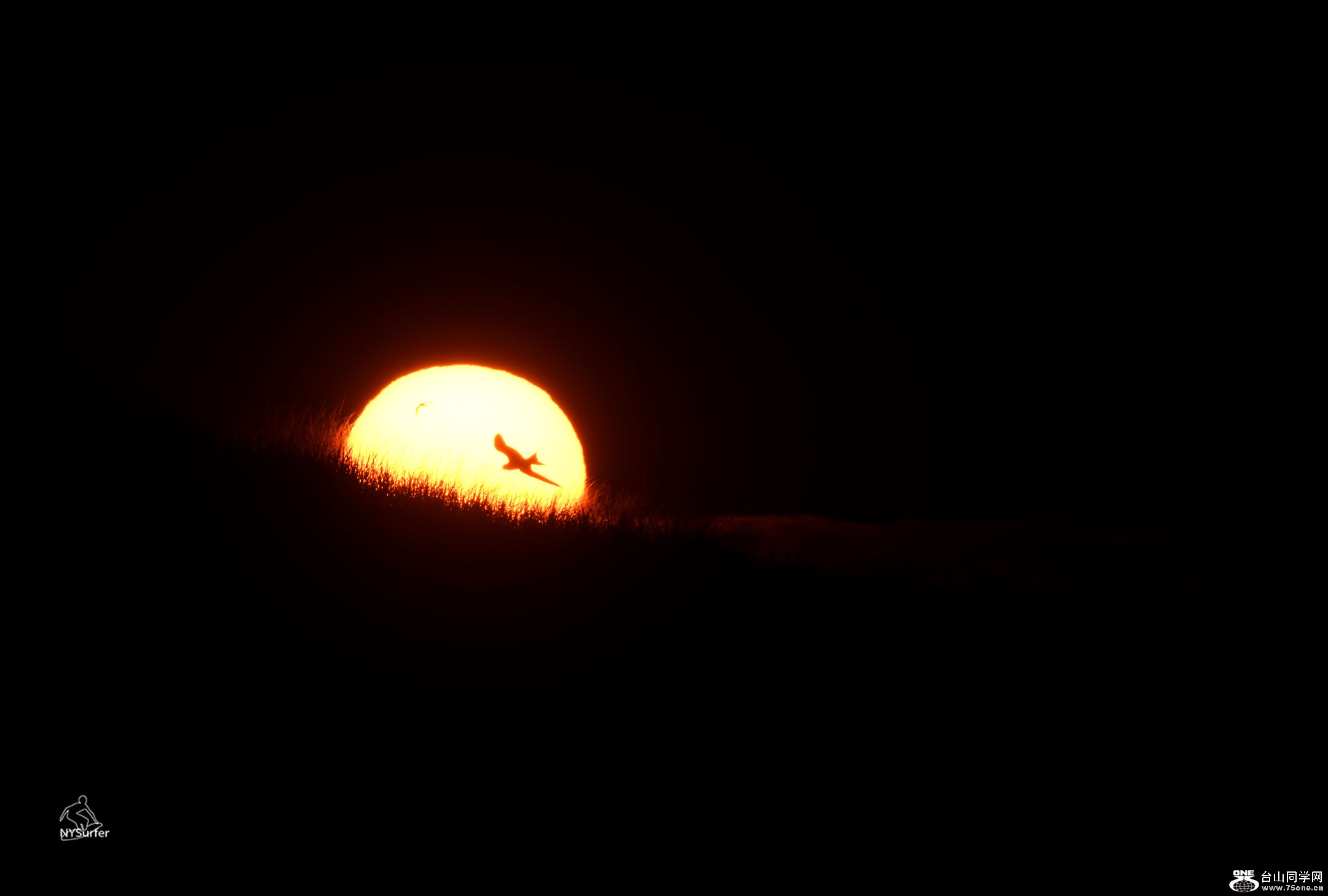 DSC_11428.jpg