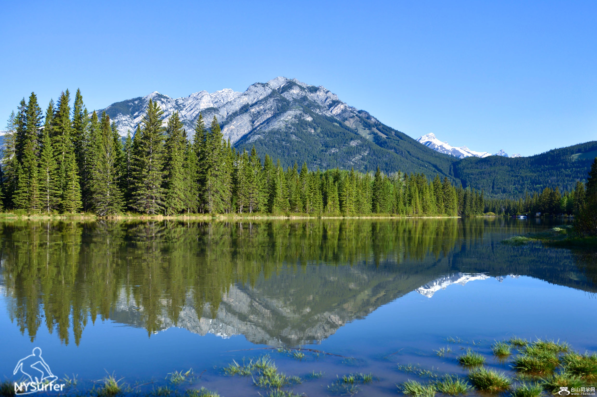 DSC_01715.jpg