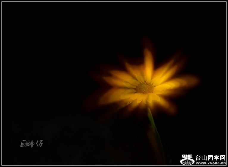 DSC_3395_.jpg