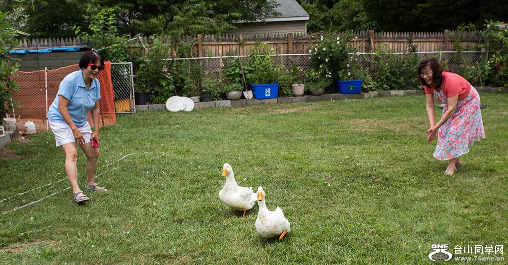 039.jpg