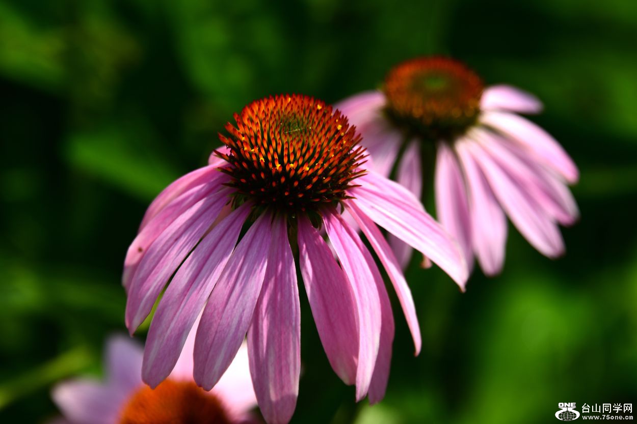 DSC_8162_.jpg