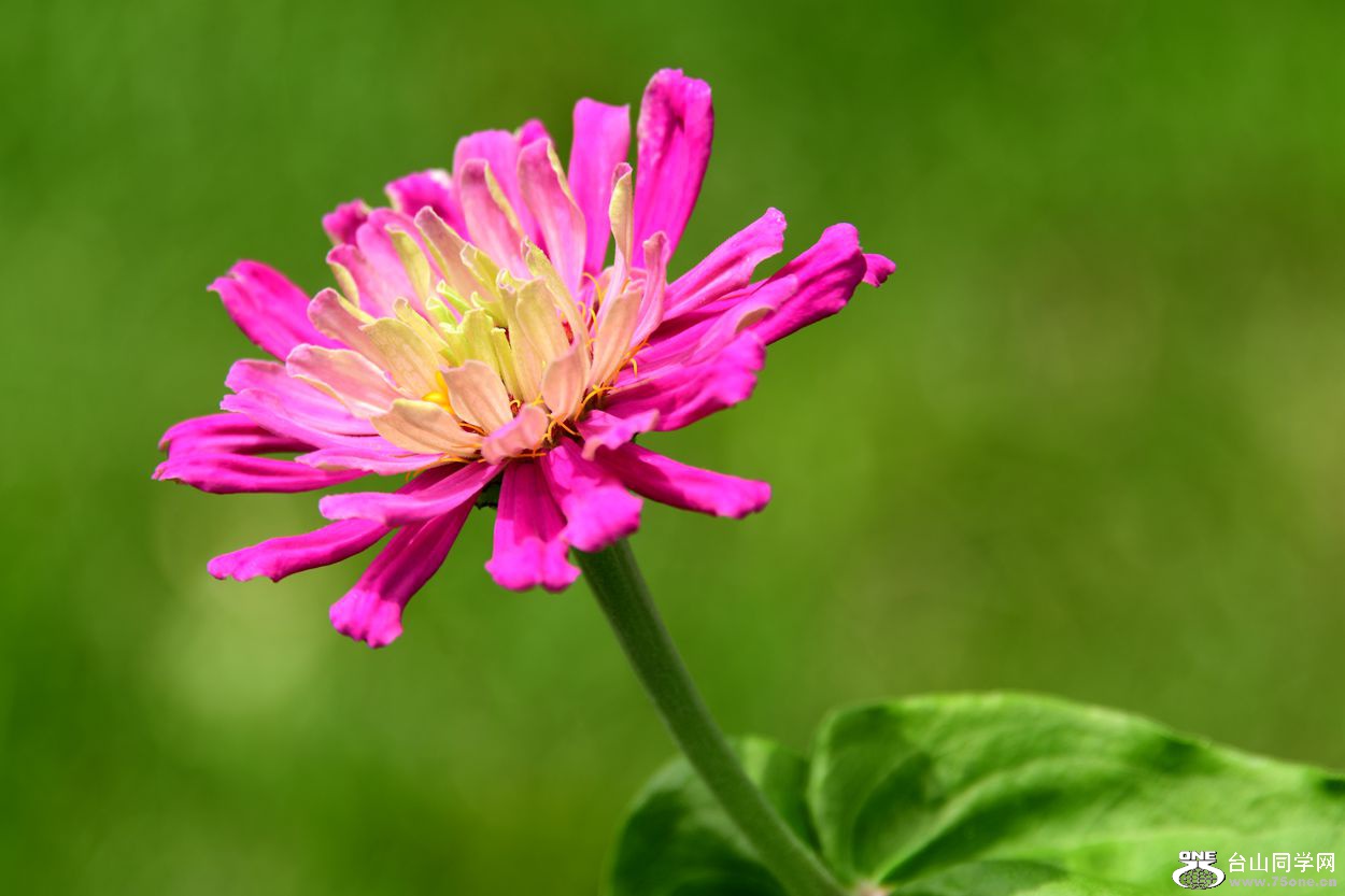 DSC_8236_.jpg