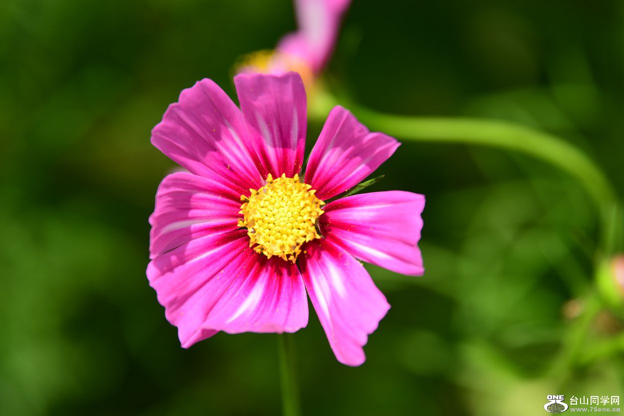 DSC_8287_.jpg