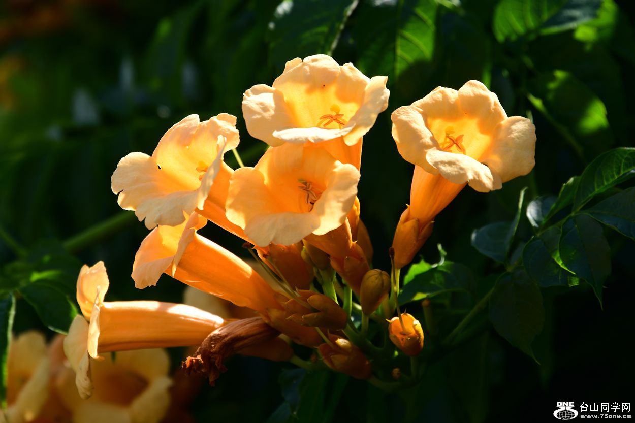 DSC_8030_.jpg