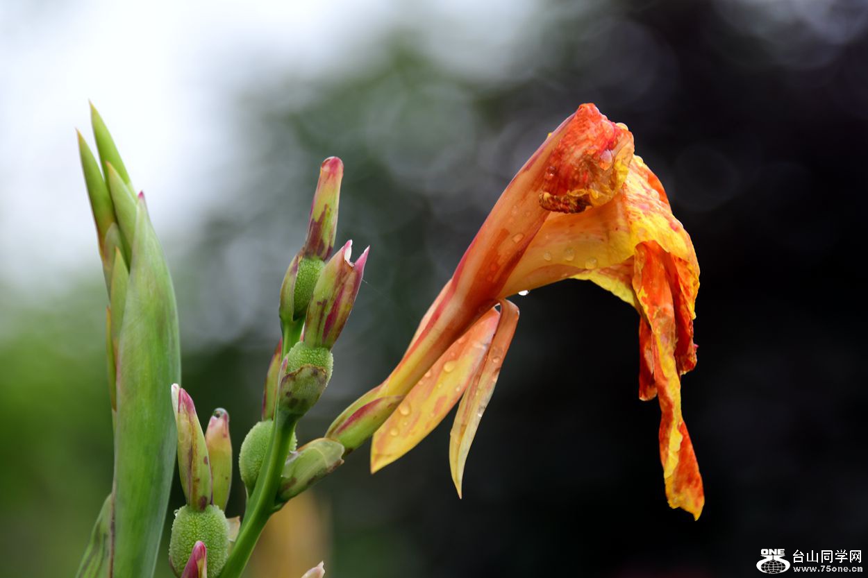 DSC_8918_.jpg