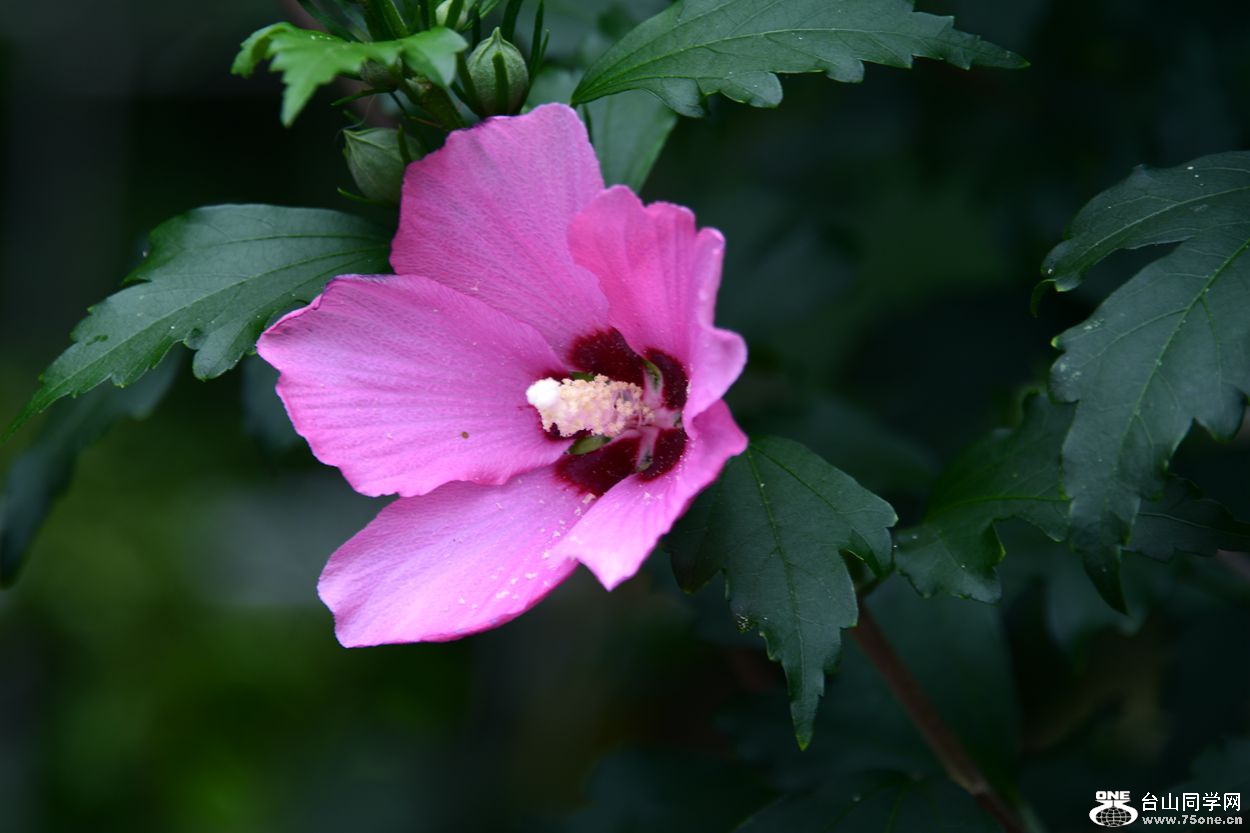 DSC_8948_.jpg