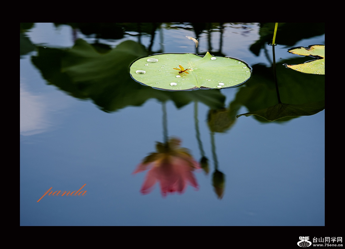 DSC_7754-1.jpg
