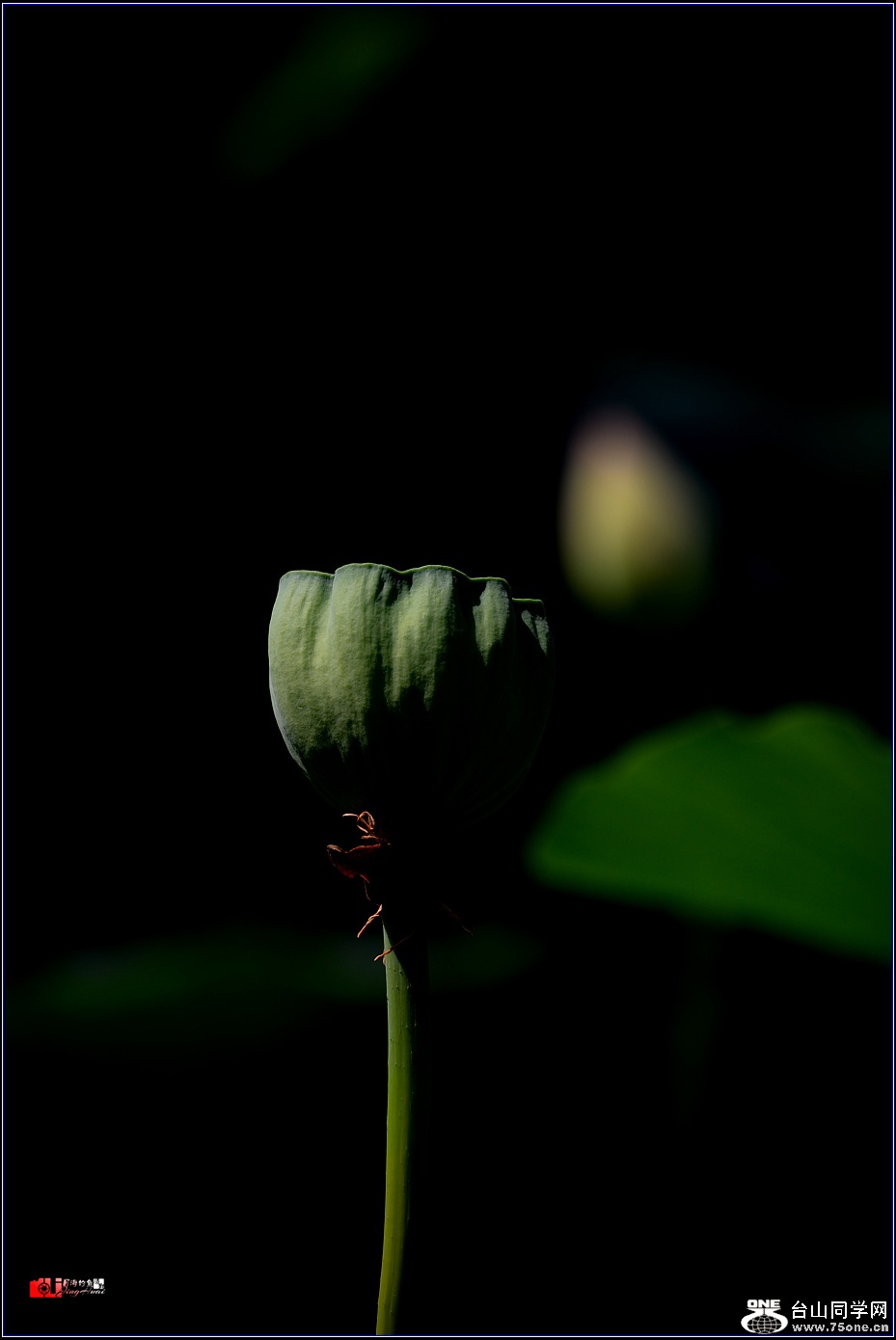 DSC_2959.jpg
