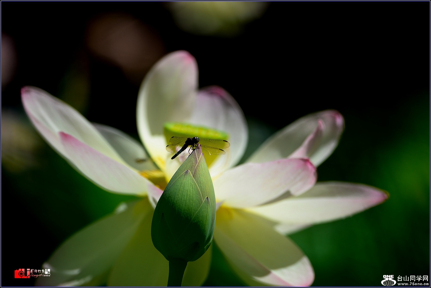 DSC_3004.jpg