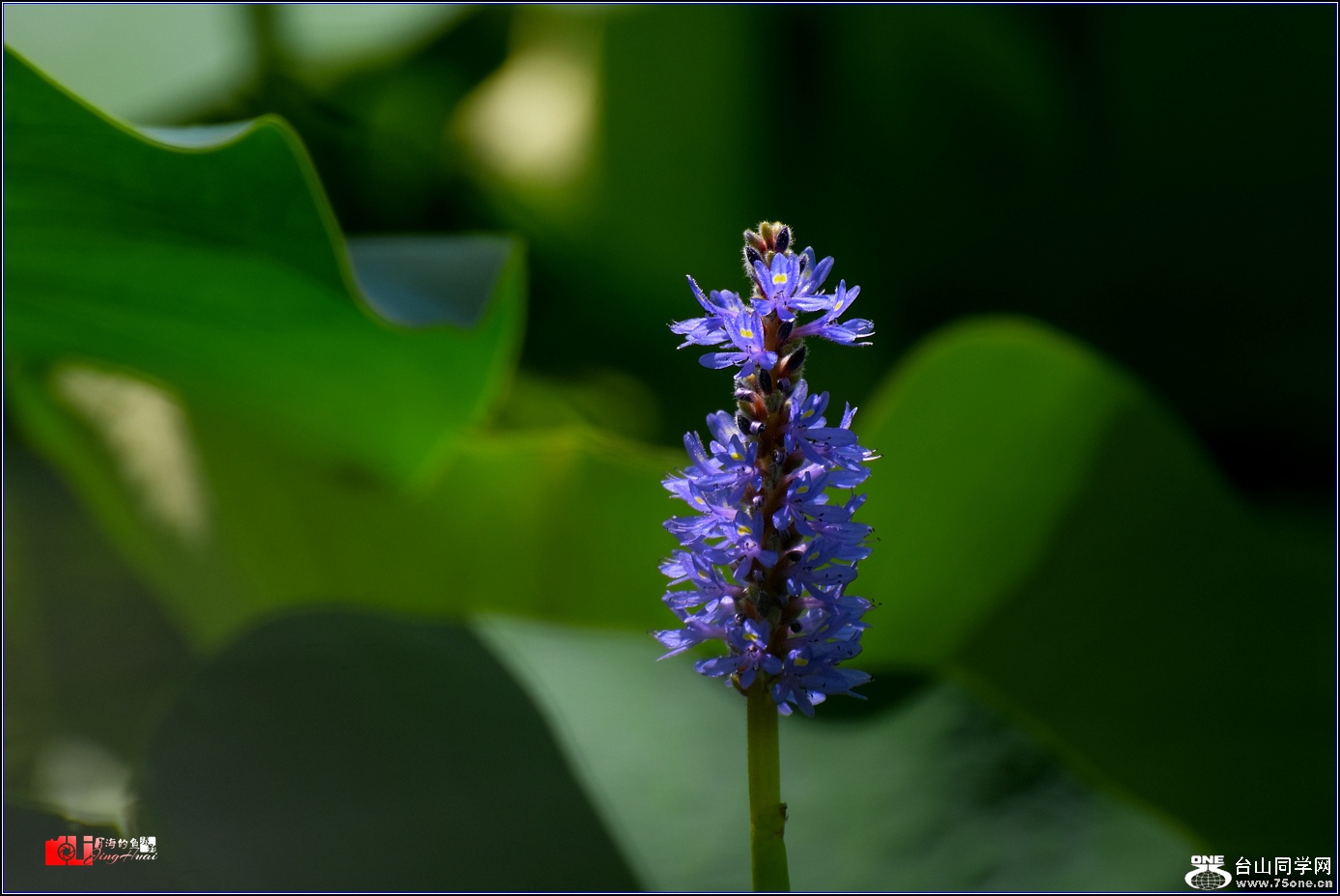 DSC_6568.jpg