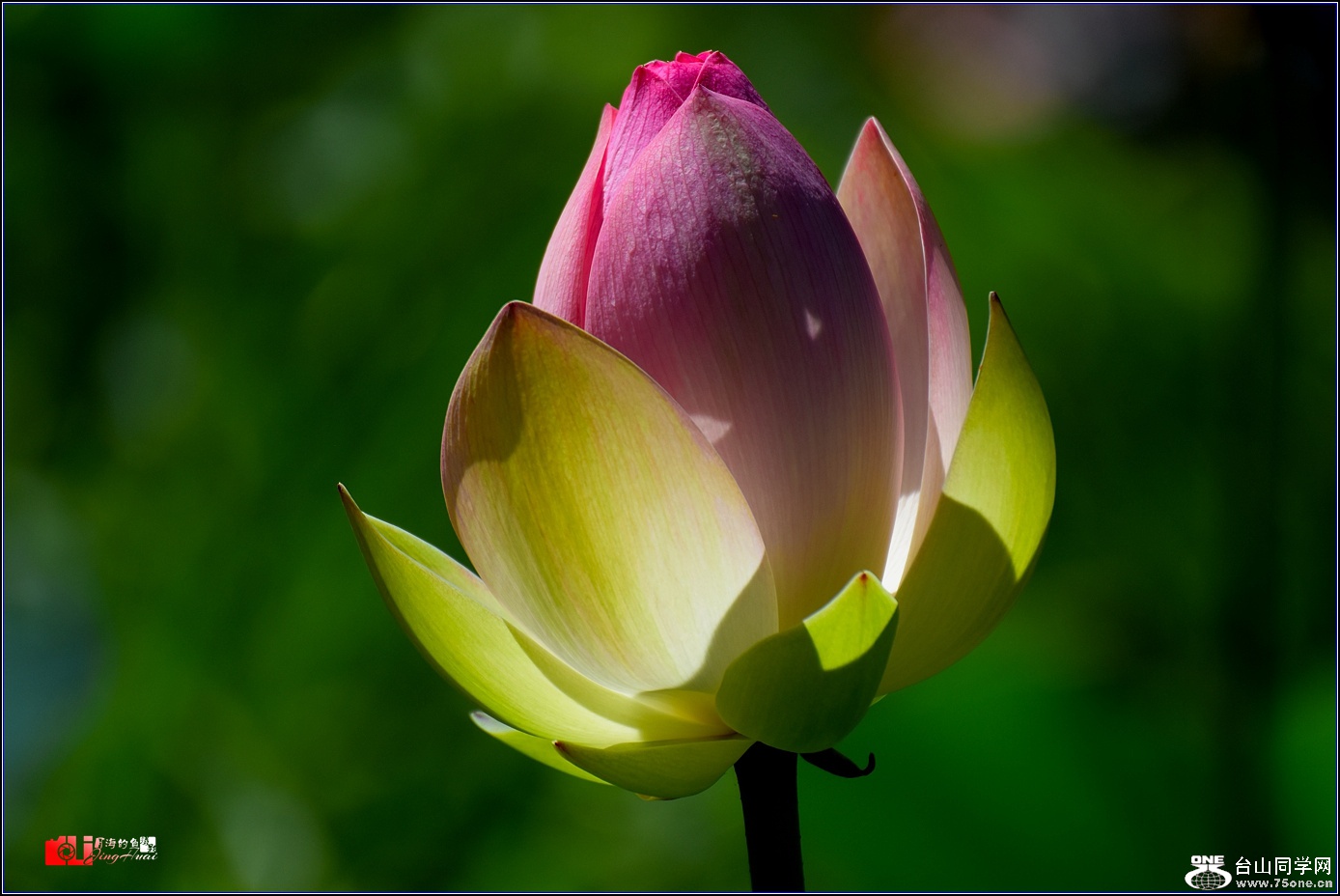 DSC_6511.jpg