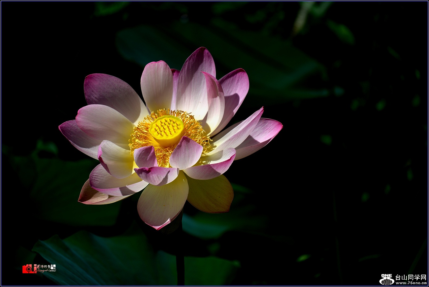 DSC_3671_.jpg