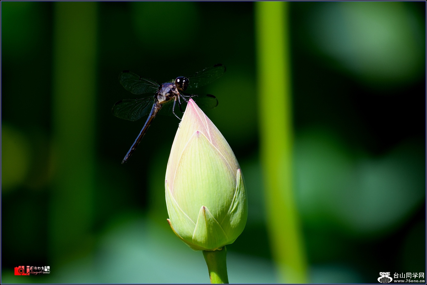 DSC_6493.jpg