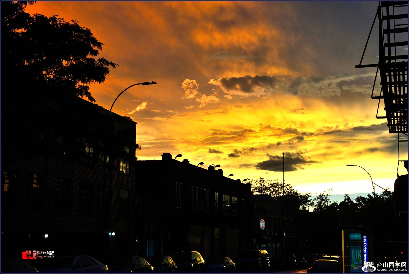 DSC_6676_.jpg
