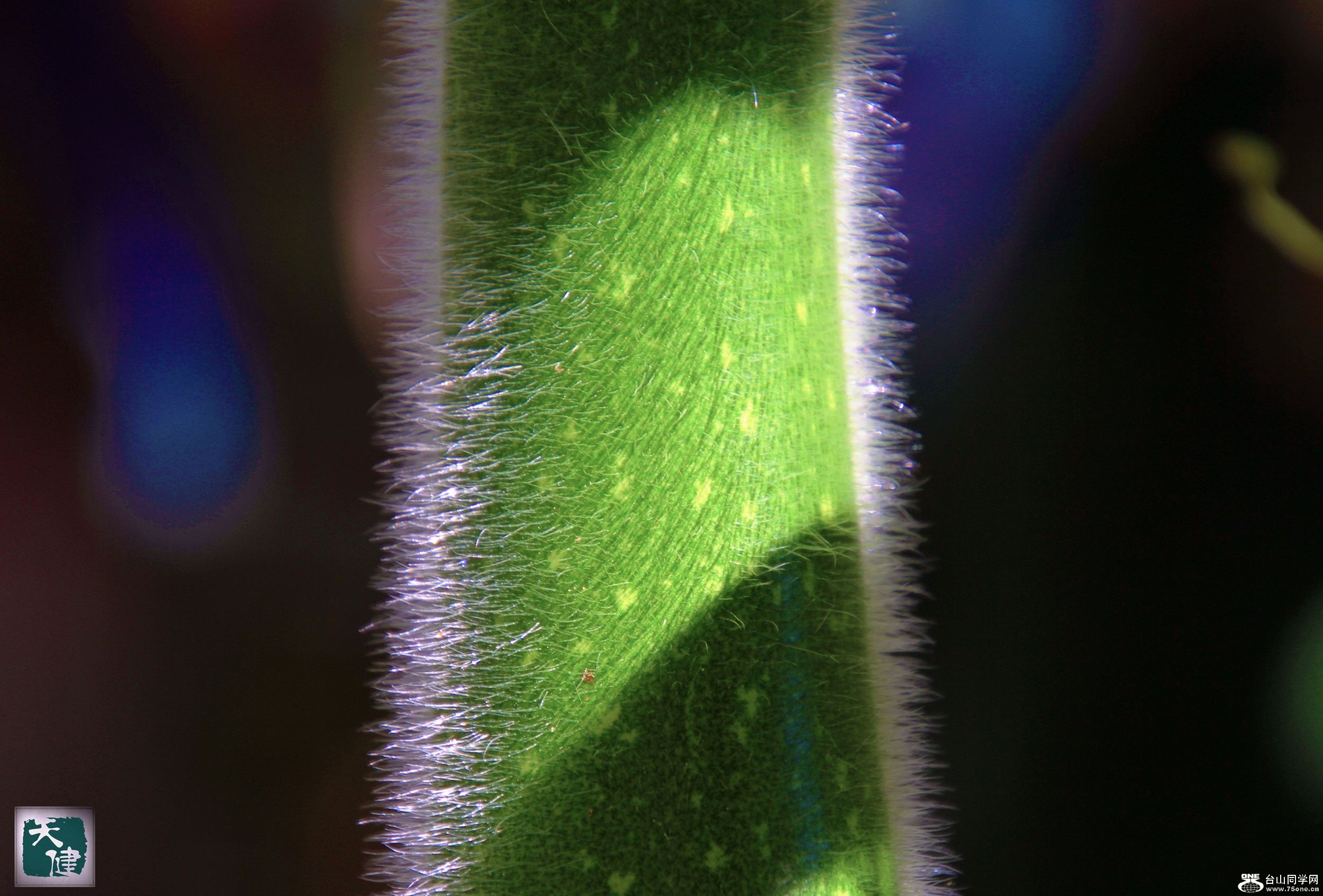 IMGL6779_.jpg