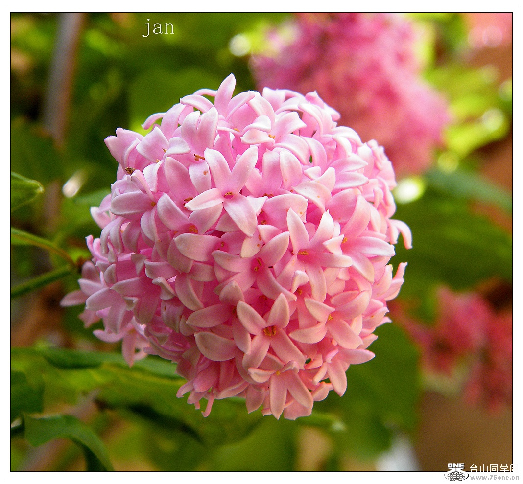 DSCF4978.JPG