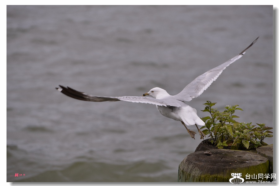 DSC_3669_.jpg