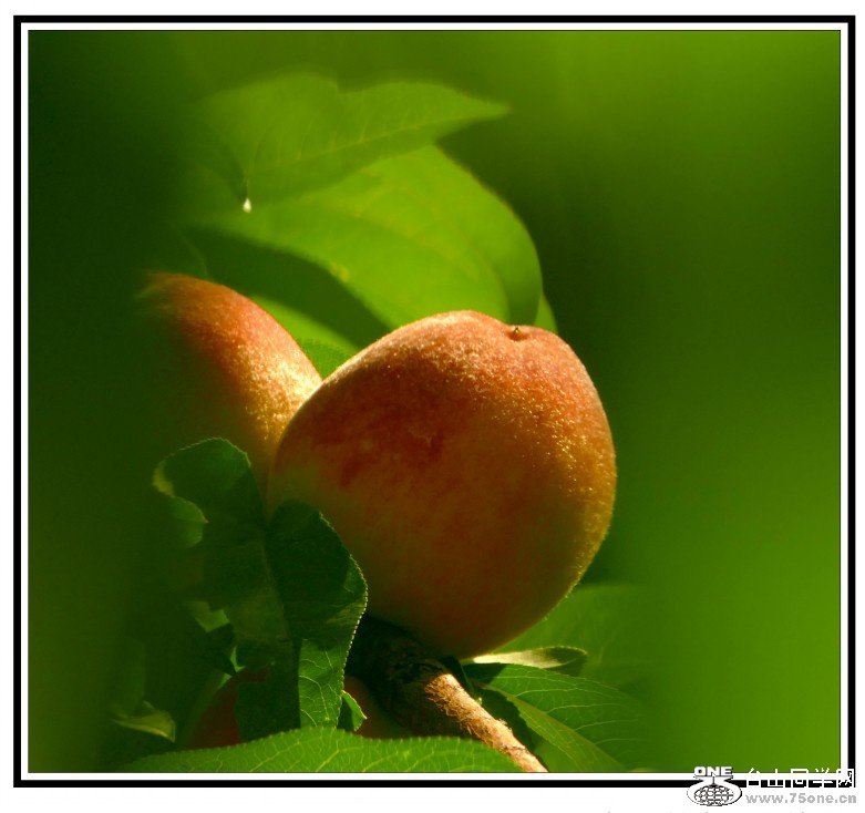 L3020272_conew1.jpg