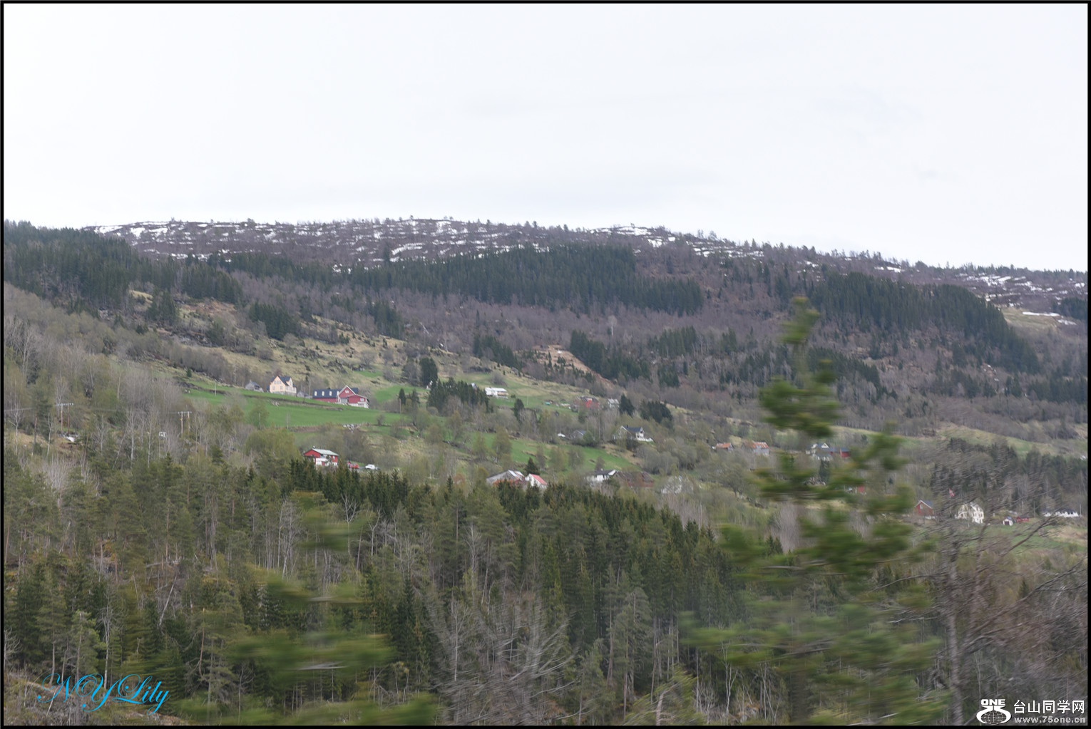 DSC_2885.jpg
