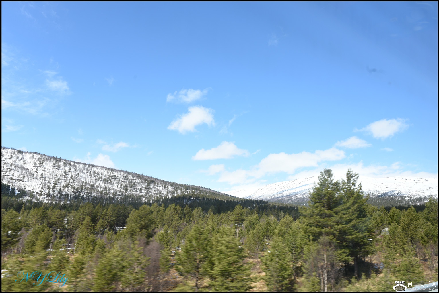 DSC_2559.jpg