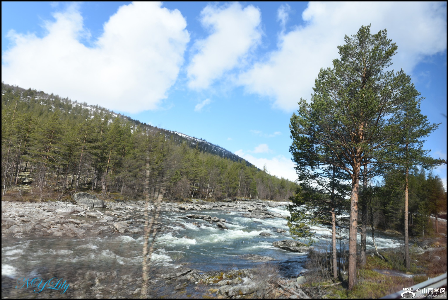 DSC_2554.jpg