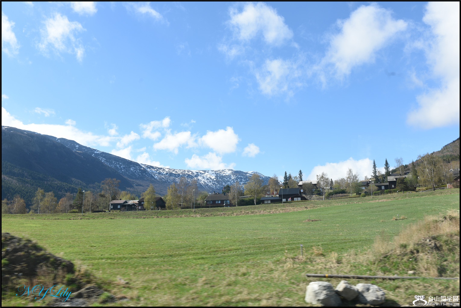 DSC_2524.jpg
