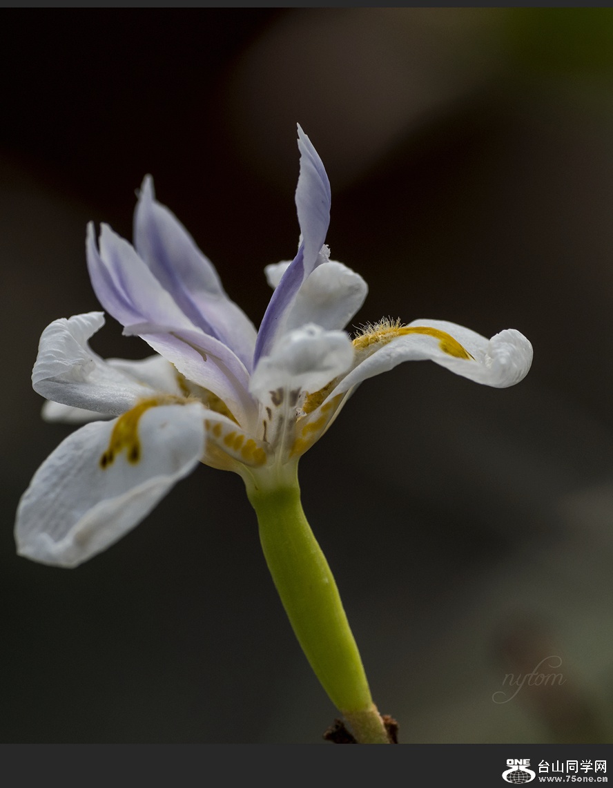 DSC_0976,_.jpg
