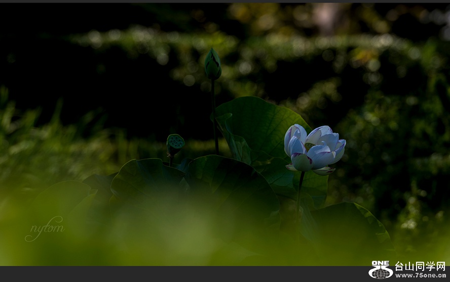 DSC_9719._.jpg