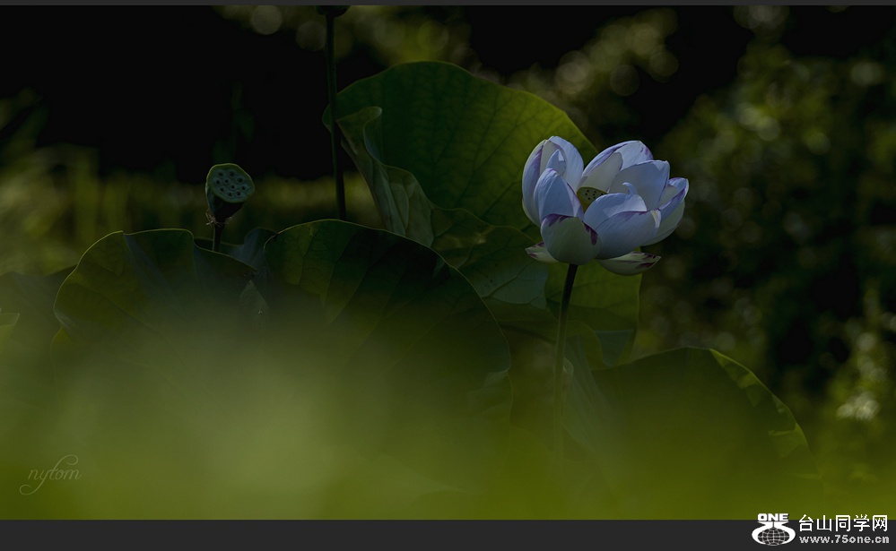 DSC_9719_.jpg