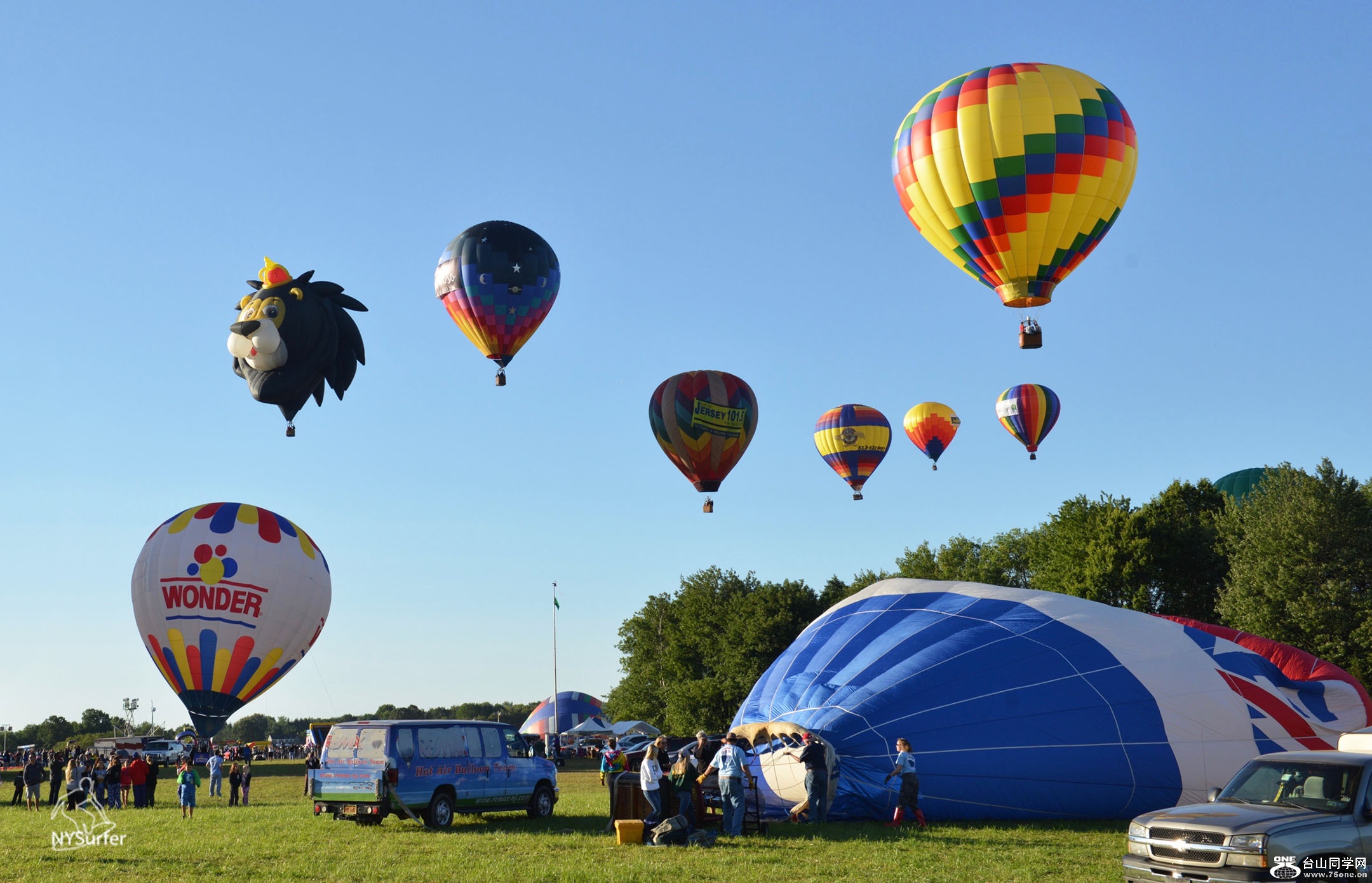DSC_81063.jpg