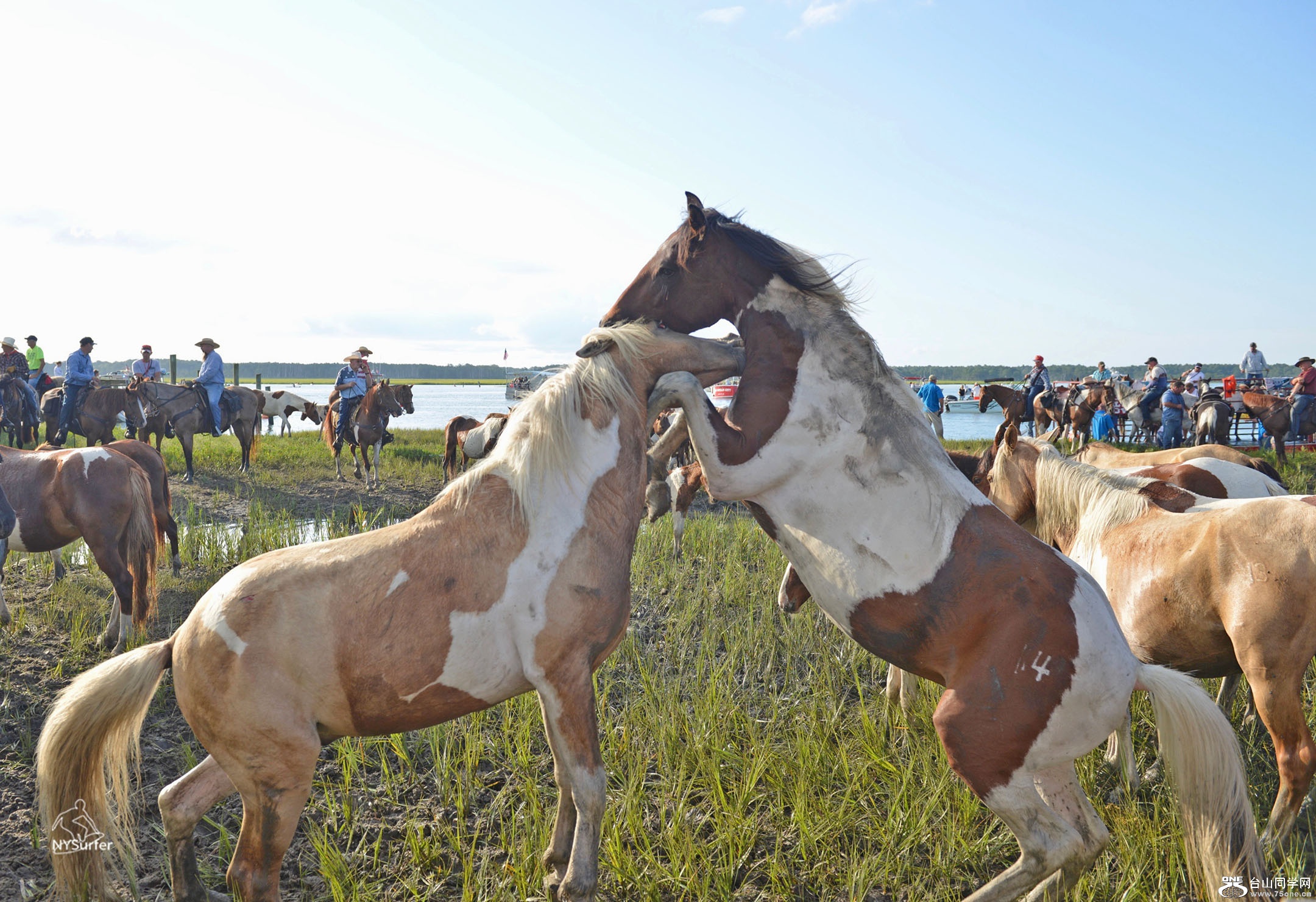 DSC_71530.jpg