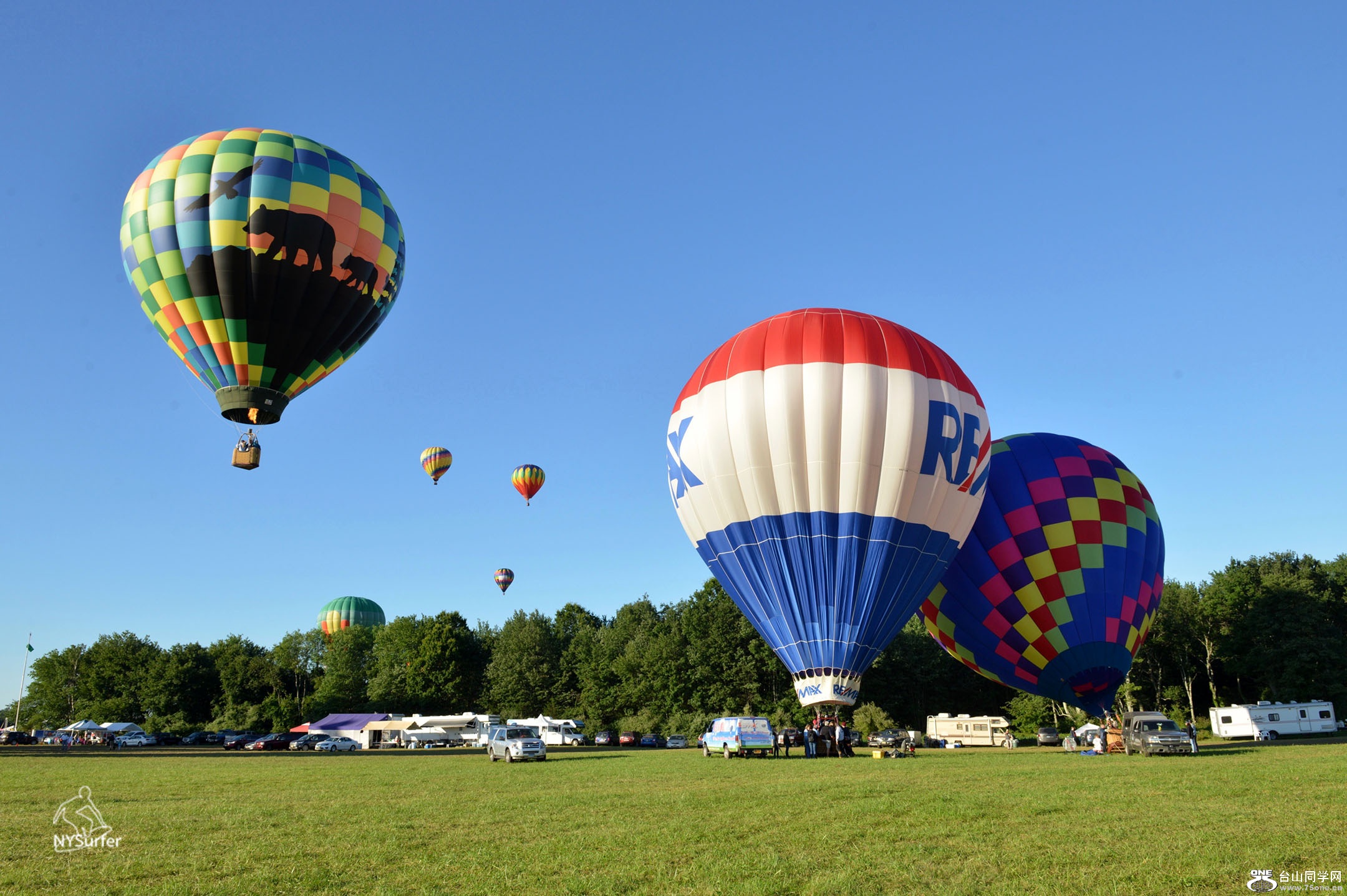 DSC_81187.jpg