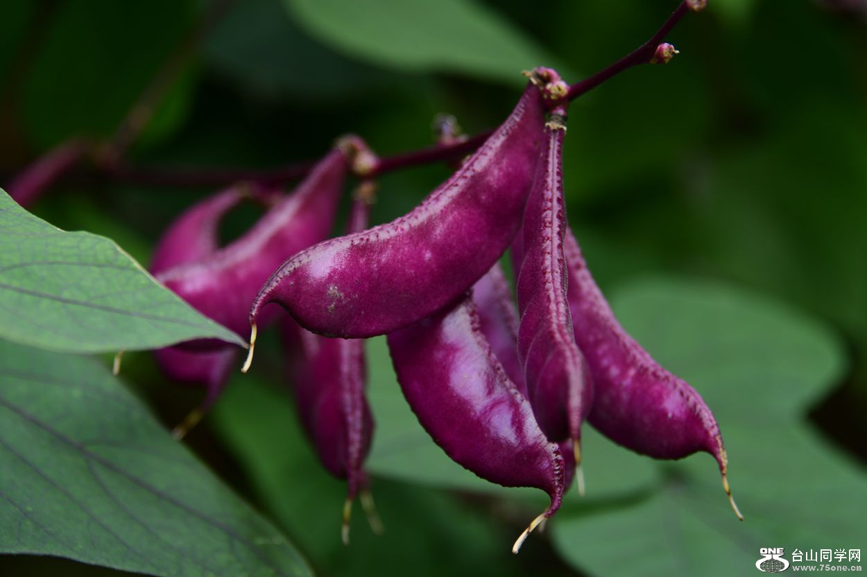 DSC_9749_.jpg