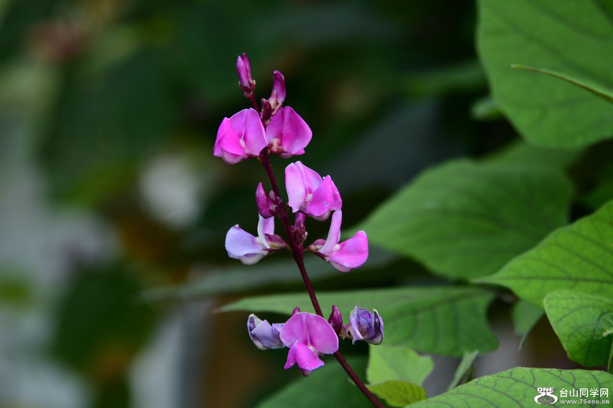DSC_9745_.jpg