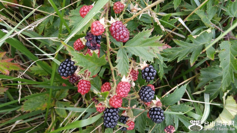 20170825_144751.jpg